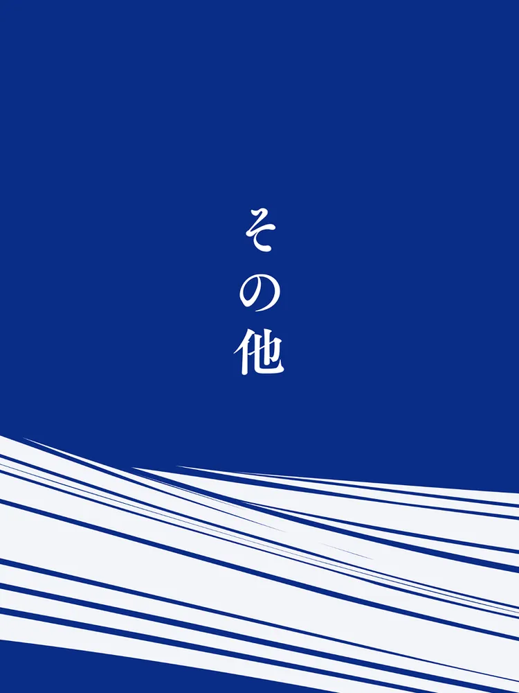 その他の商品