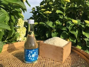 本醸造生貯蔵酒 300ml